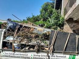 Best Residential Junk Removal  in Tell City, IN
