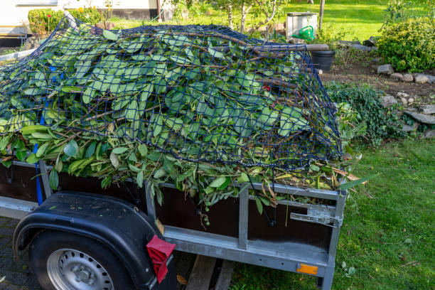 Best Estate Cleanout  in Tell City, IN